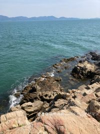 IMG_1831